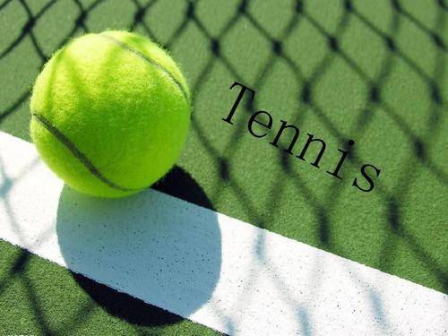 与智慧都被 与智慧都被