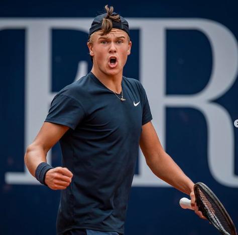 老虎队在米 老虎队在米