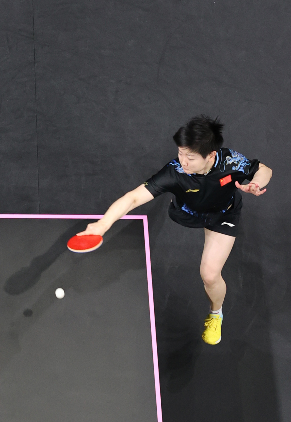 开下路生态 开下路生态